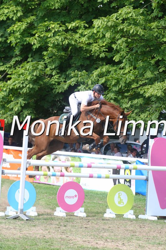 308M3824_Dornadello_Springpferde Mx.JPG